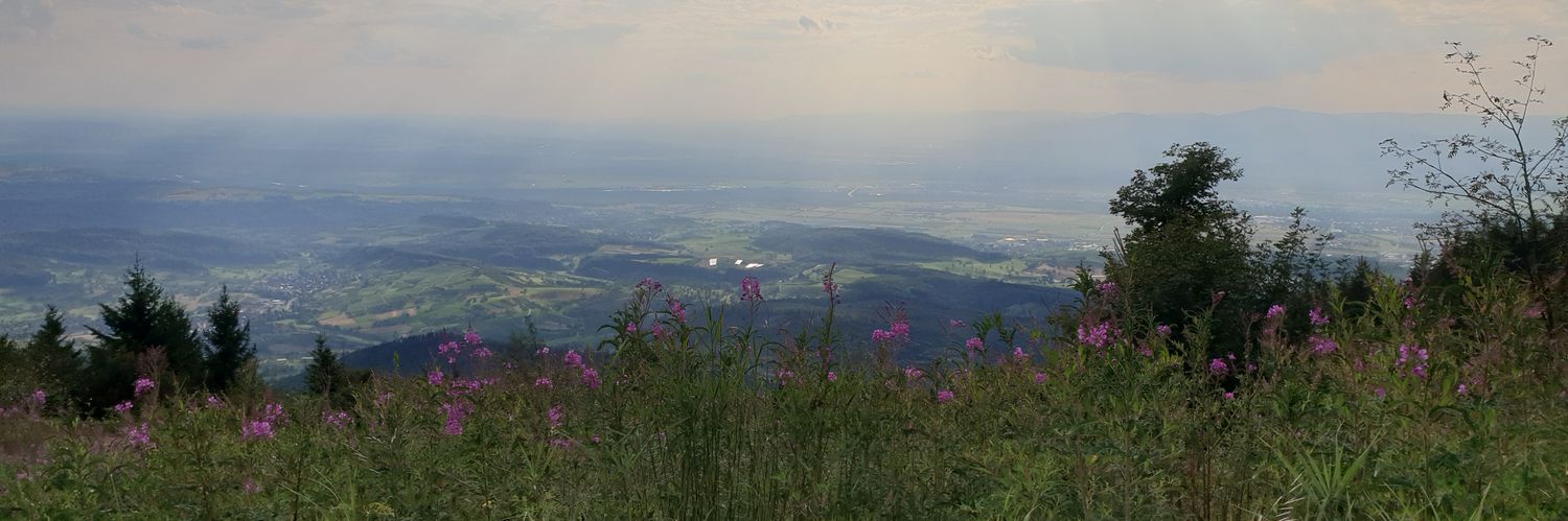 koeniginseen's profile banner image