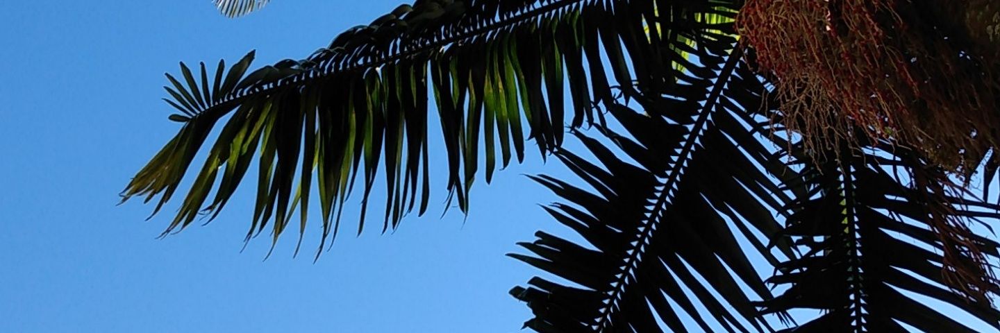 m___raff's profile banner image