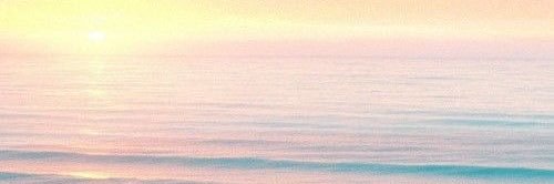 rachevansx's profile banner image