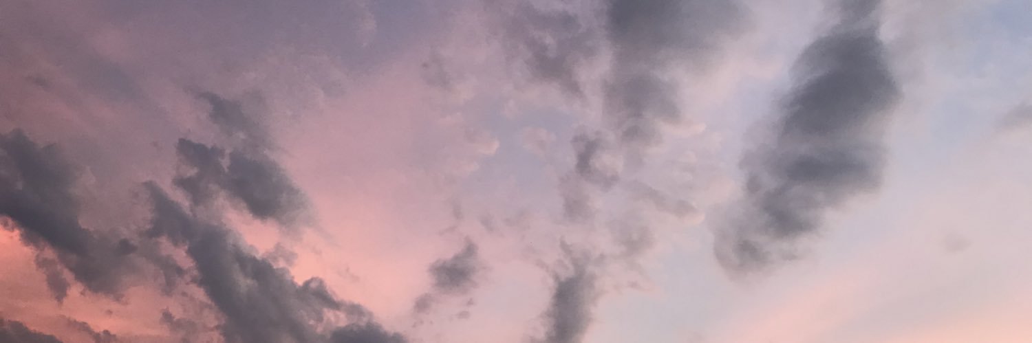 lvmb2's profile banner image