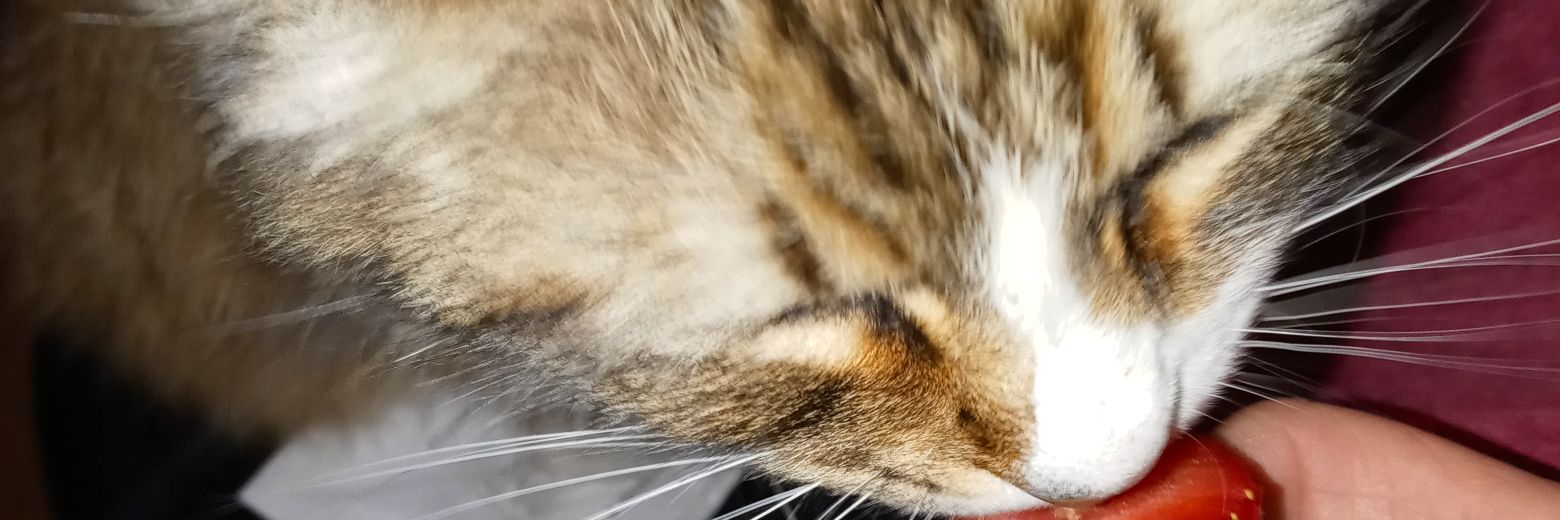 Suz2u18's profile banner image