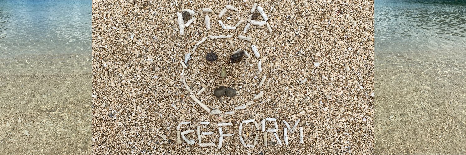 picareform's profile banner image