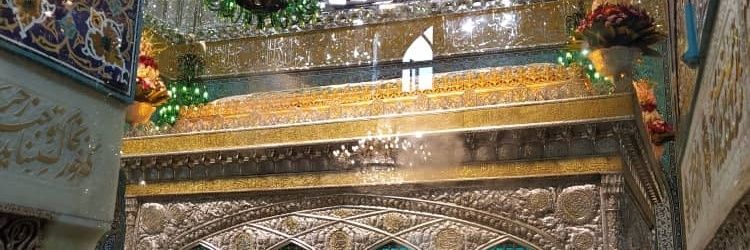 ali8456374's profile banner image