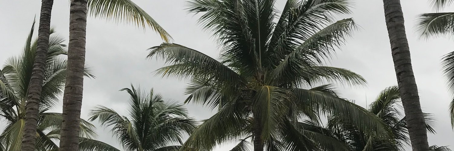 AnaRush20's profile banner image