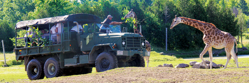 ParcSafari's profile banner image