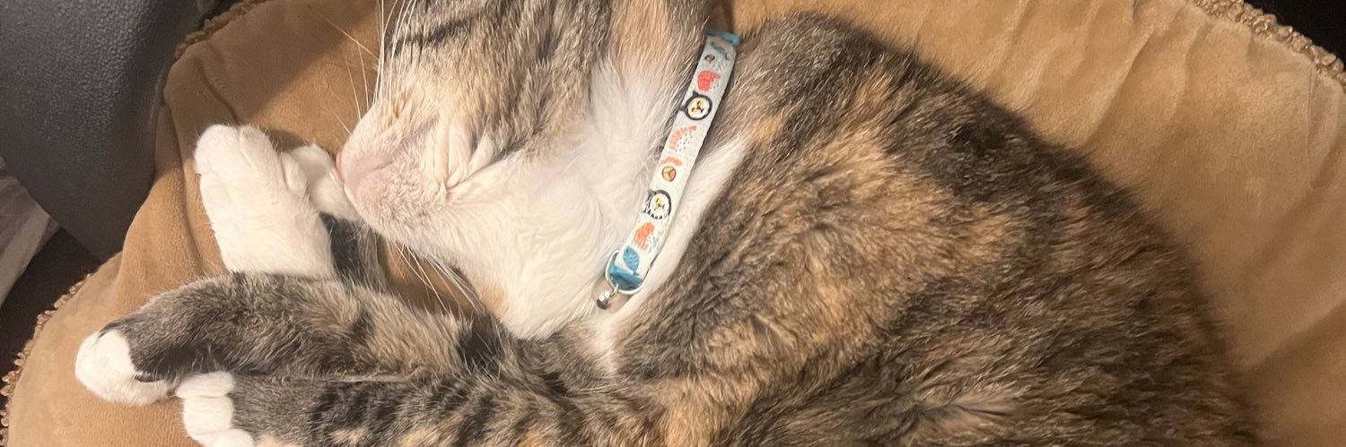 leslieidek's profile banner image
