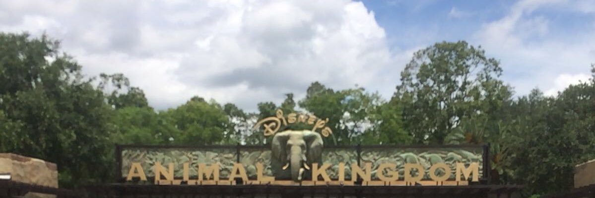 Caitlin Betts banner