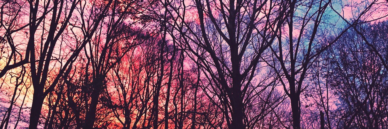 Megan Flatley banner