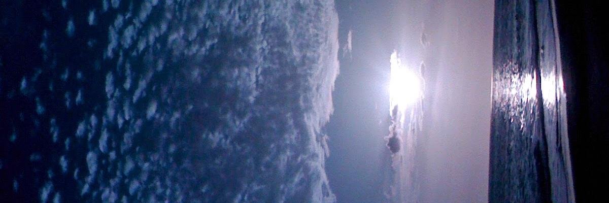 SFManSFMan's profile banner image