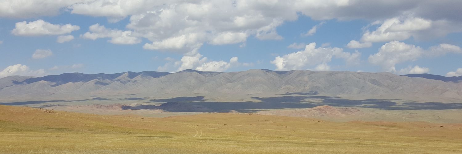 TMendsaikhan's profile banner image