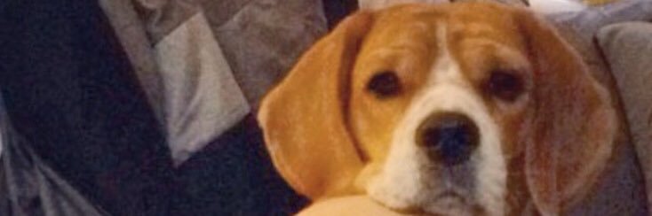 _evjohn's profile banner image