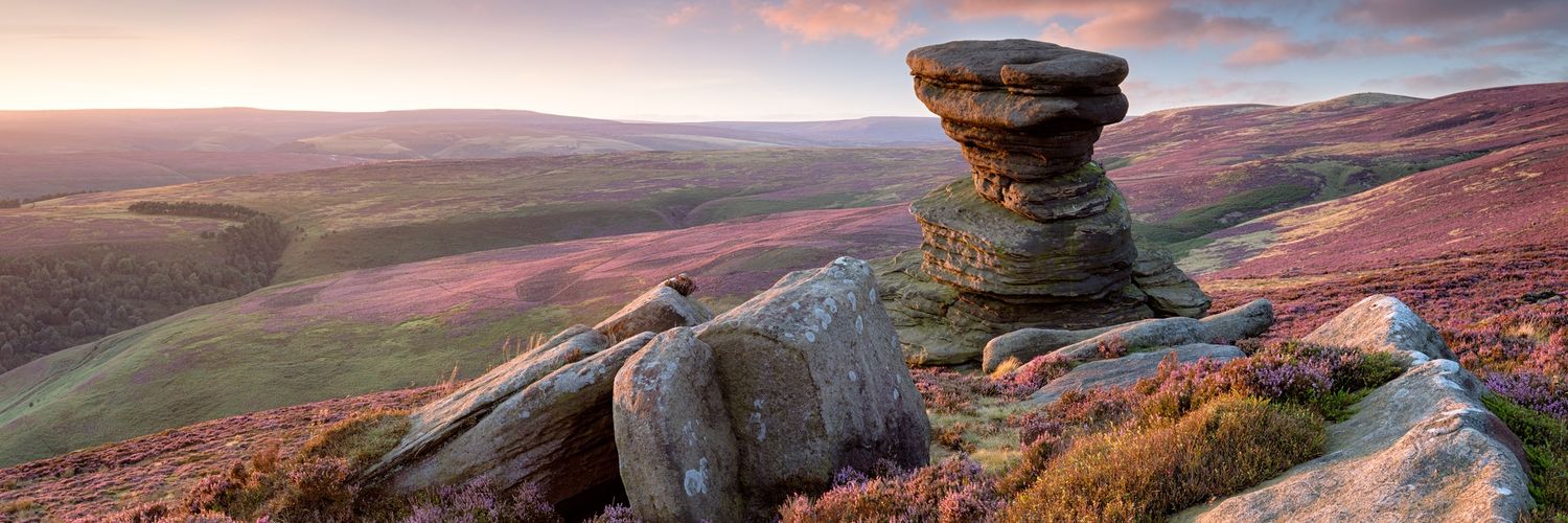 Sameh ElBadry banner