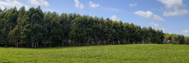 aledote's profile banner image
