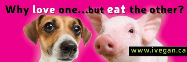 iveganca Profile Banner