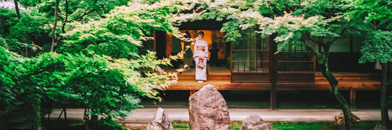 レクスイー banner