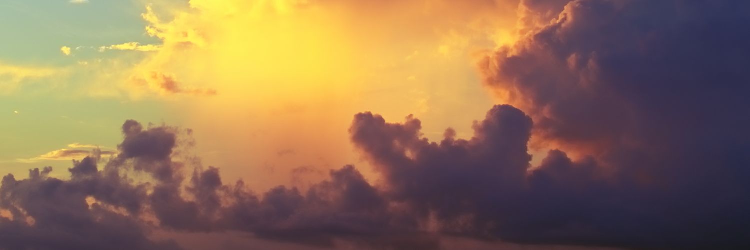 KittyColeMeow's profile banner image