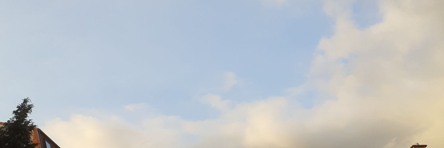 jigbean's profile banner image
