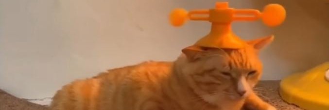 pasta_neruda's profile banner image