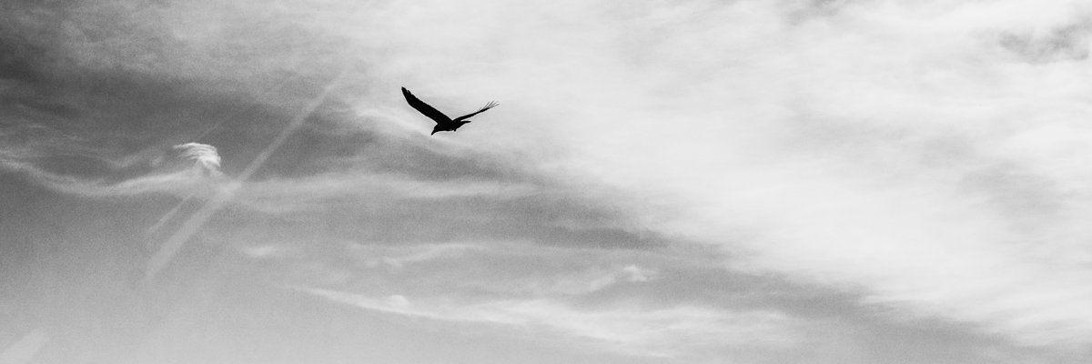 Focusmood_Norka's profile banner image