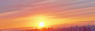 sappikik's profile banner image