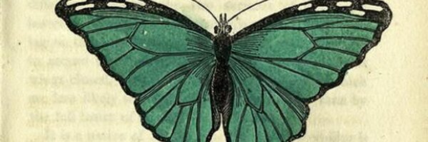 _memorylight Profile Banner