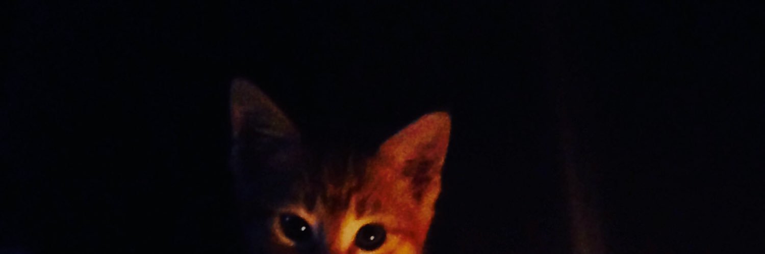 Evan_Kuker's profile banner image
