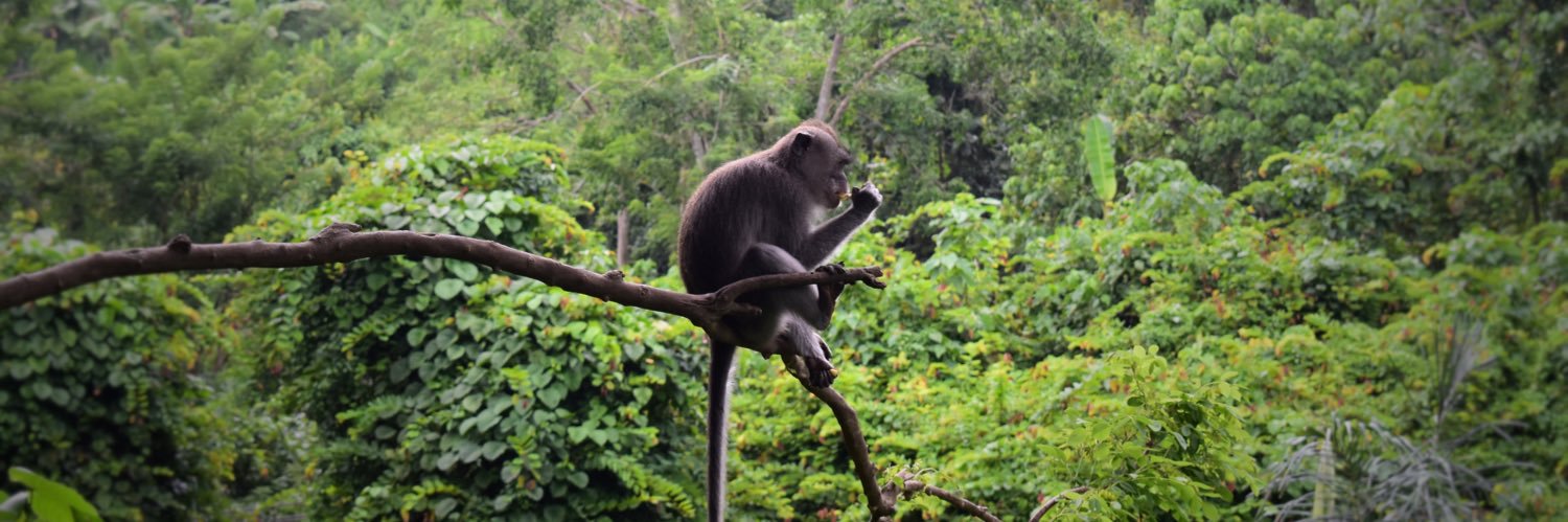 Peter Rodgers banner