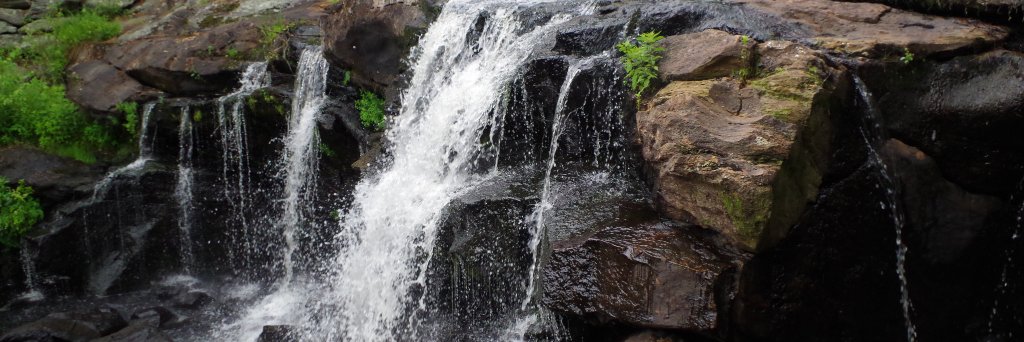 Terry Stoufer banner