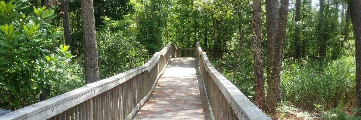 🪓 𝙷𝚊𝚕𝚎𝚗 𝙳𝚎𝚊𝚗 ⚰ banner