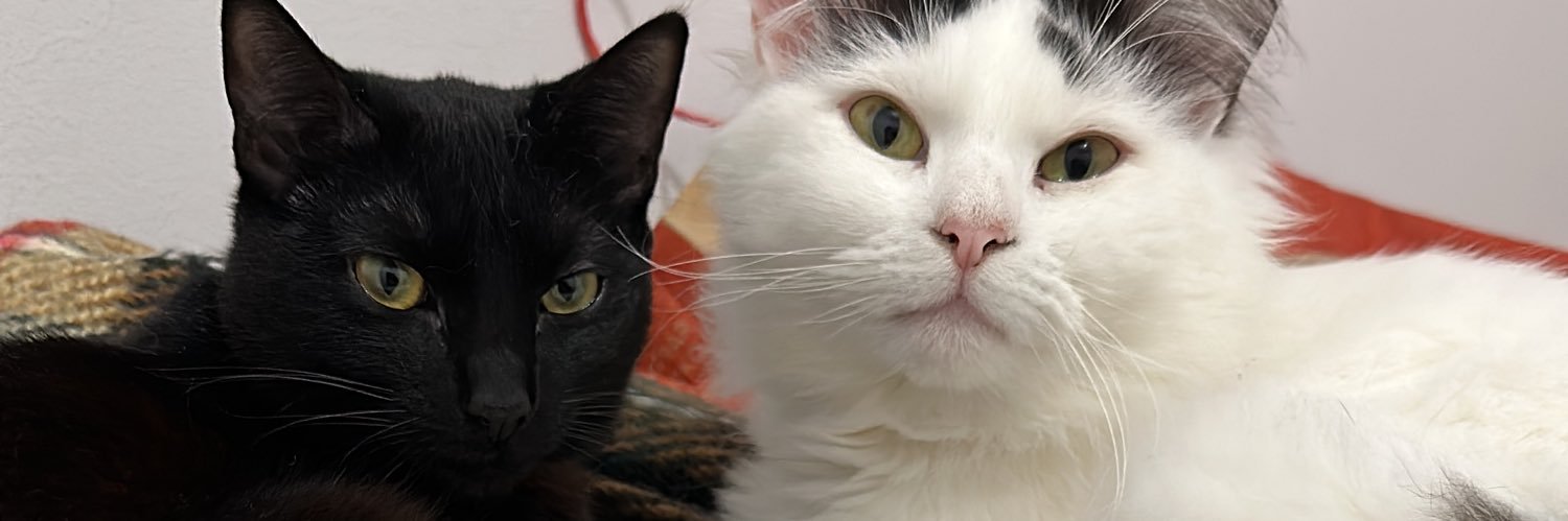 mar_feliix's profile banner image