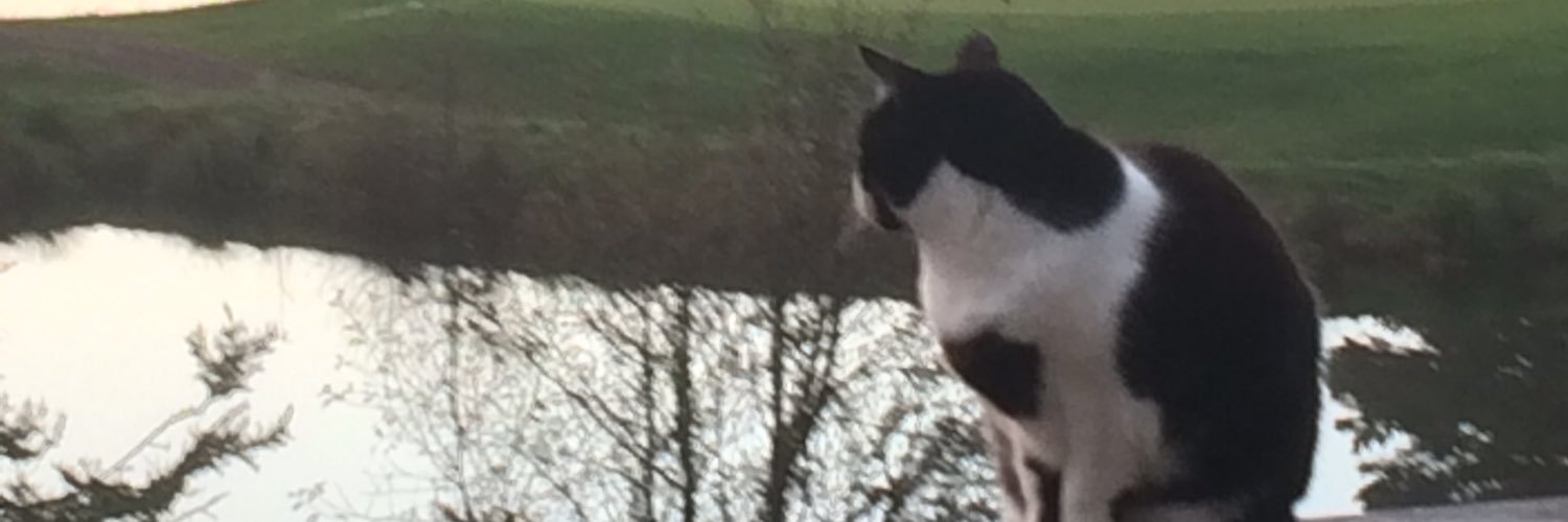 Jody Lockwood 💙 banner