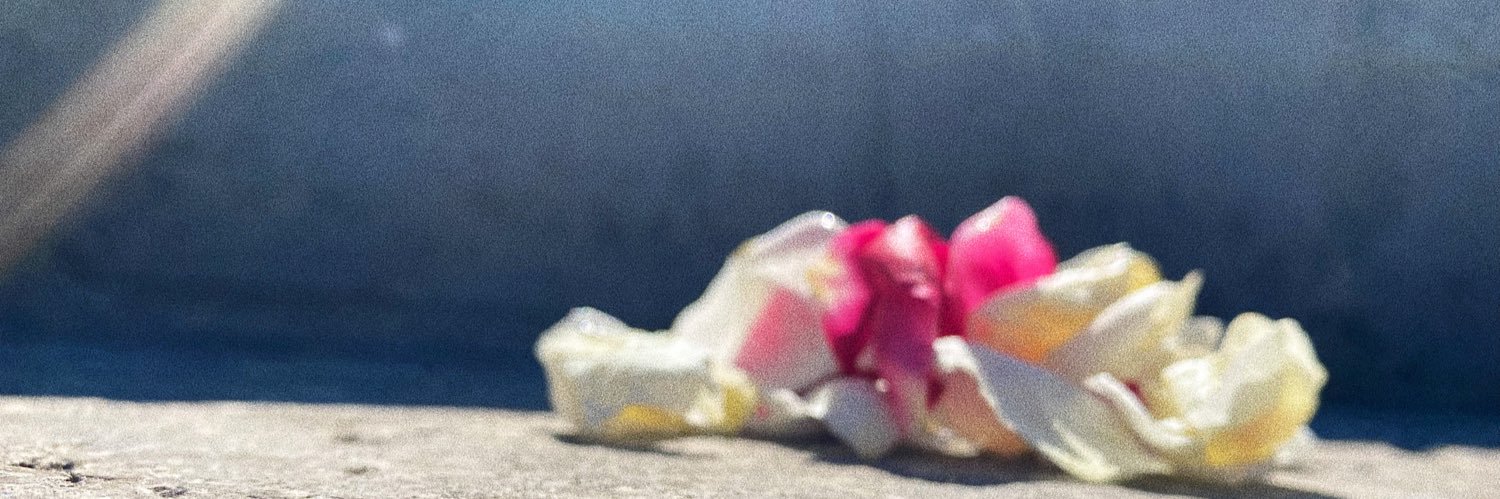 jamiecsactor's profile banner image