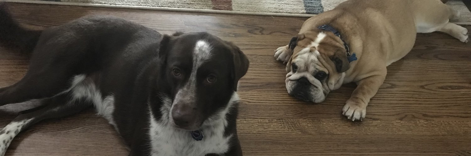 TheMsNagl's profile banner image