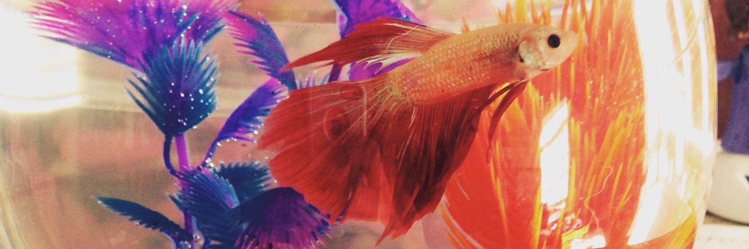 missamylee96's profile banner image