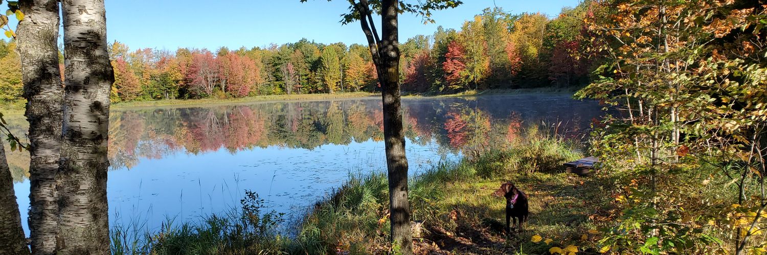 WisconsinProg's profile banner image