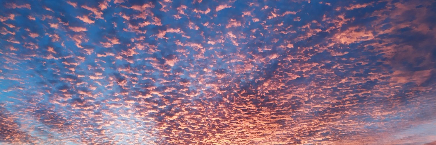 anna_baguena's profile banner image