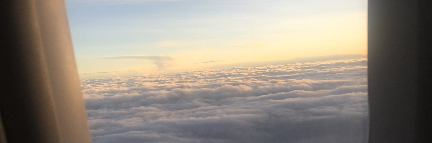 daniipalaciost's profile banner image