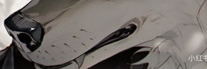 MrazMolly's profile banner image