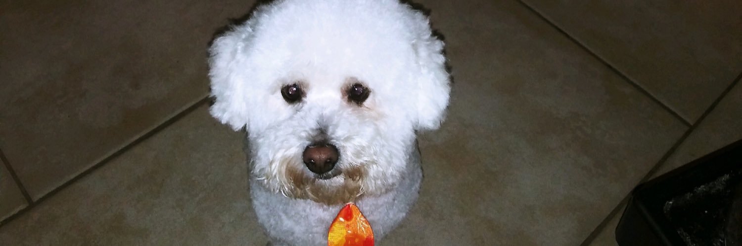 MochaSmiley's profile banner image