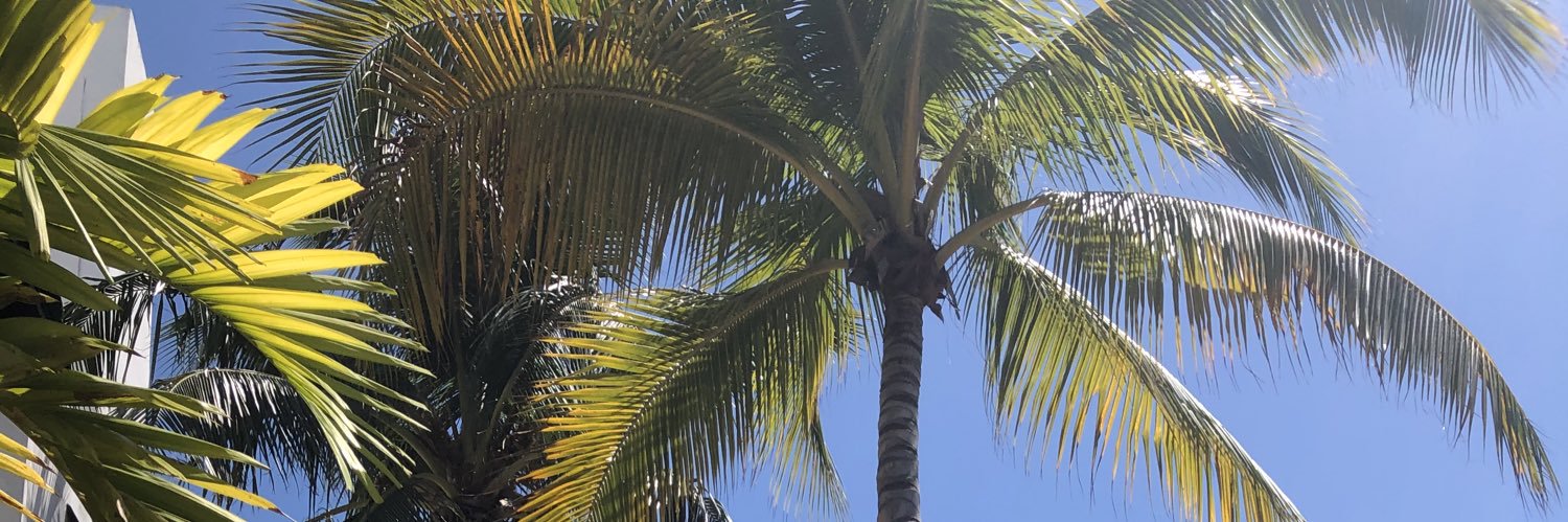 tcelich_'s profile banner image