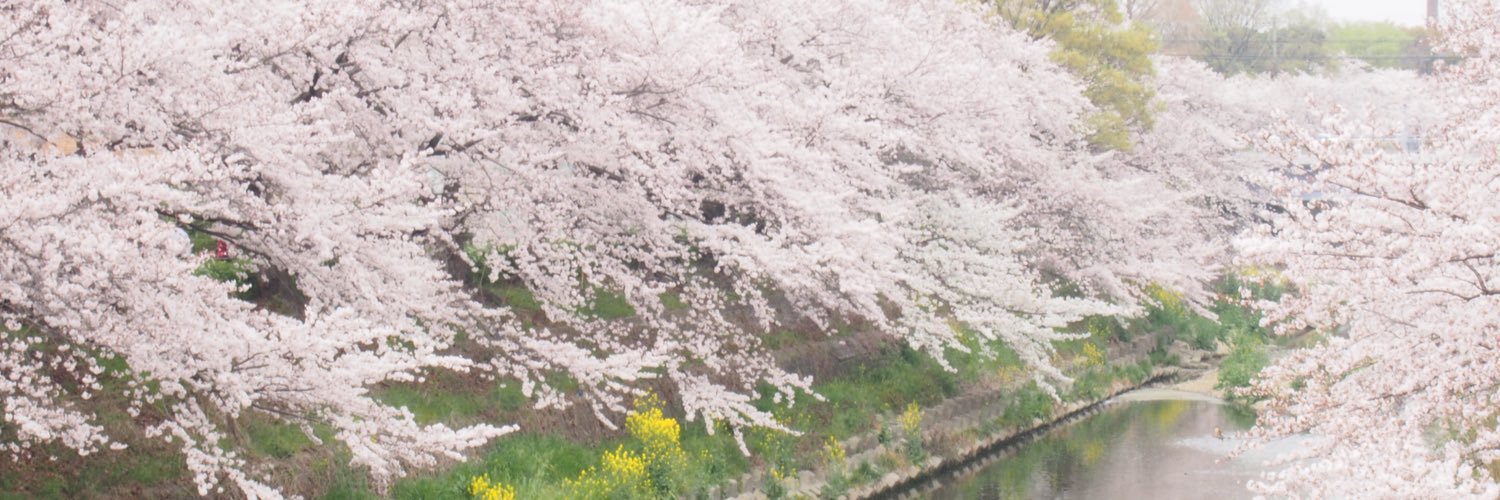 aatasoo's profile banner image