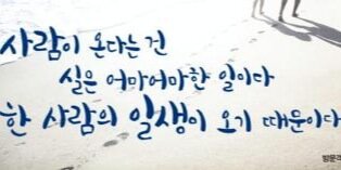 sorajubook's profile banner image