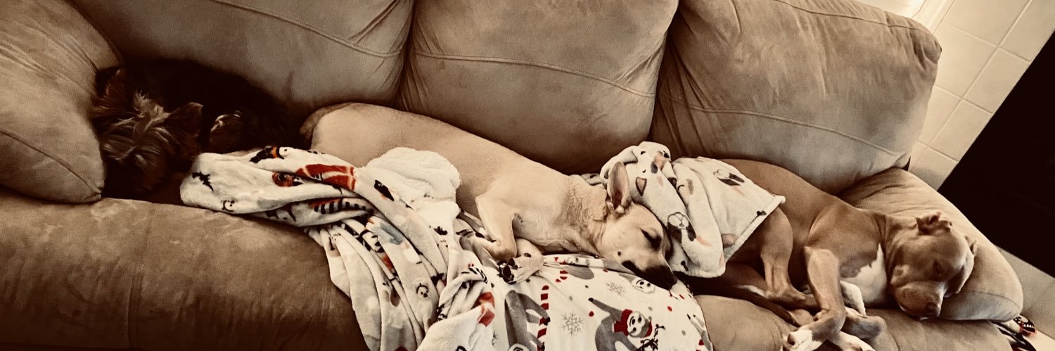 allypobanz's profile banner image