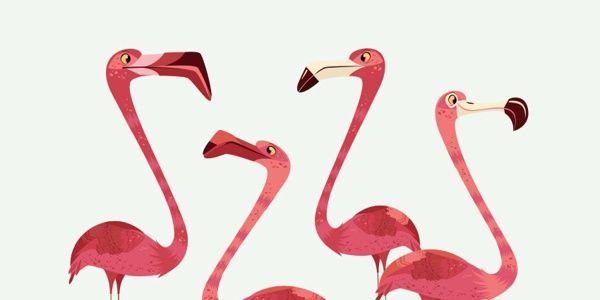 CAICAISHUAI's profile banner image