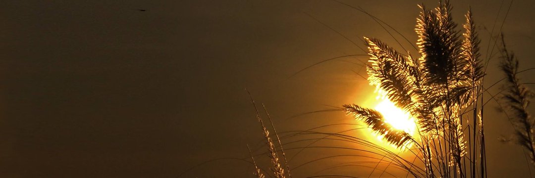 AtaullahSamrat's profile banner image