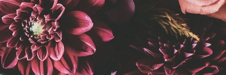 beebsbond's profile banner image