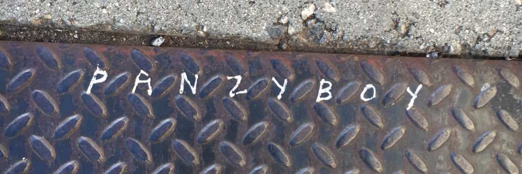 panzyboy's profile banner image