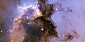 Zachary Papes banner