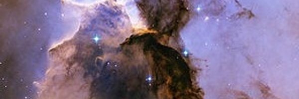 ZackPapes89 Profile Banner