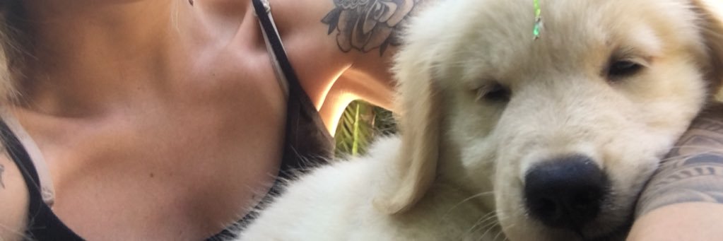 caroolteruel's profile banner image
